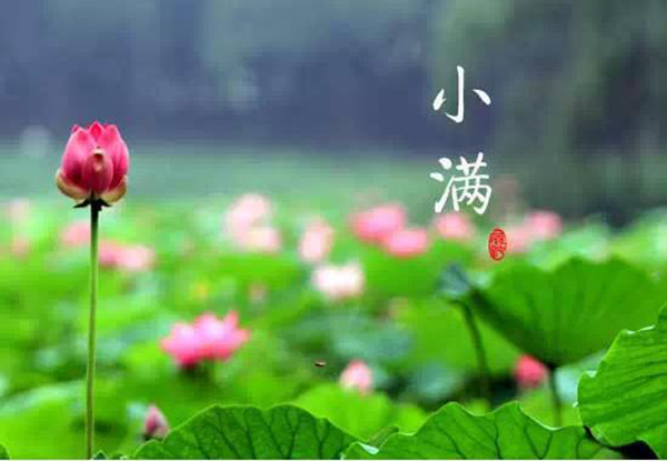 小滿(mǎn)