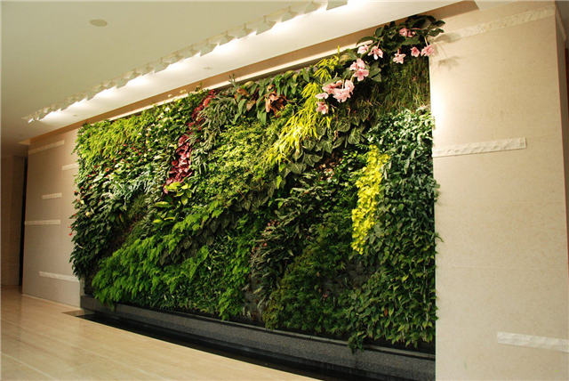 室內(nèi)植物墻做法以及注意事項(xiàng) 室內(nèi)植物墻價(jià)格多少一米