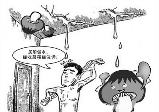 水管漏水怎么辦 幫你來做水管堵漏
